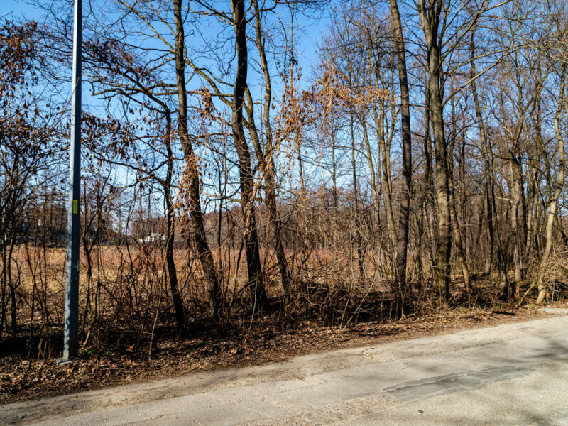 Działka 58 ar, Tarnów ul.Mokra