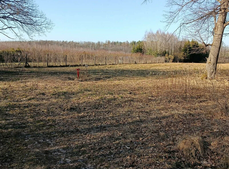 Działka budowlano-rolna 90 ar, Krzywe.