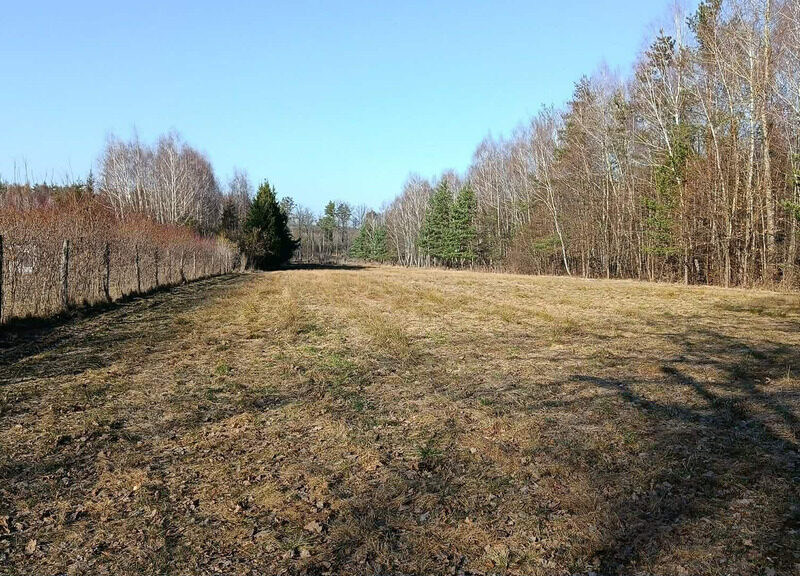 Działka budowlano-rolna 90 ar, Krzywe.