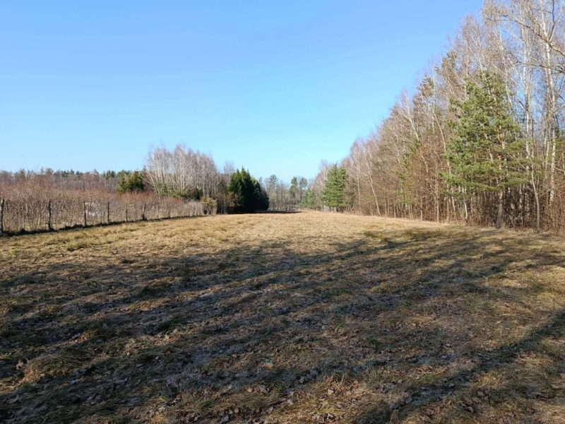 Działka budowlano-rolna 90 ar, Krzywe.