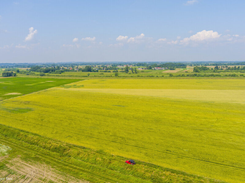 Działka rolna Szczurowa- Brzesko-Małopolska