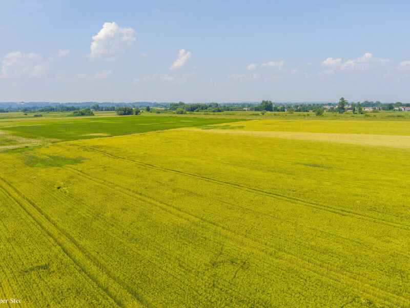 Działka rolna Szczurowa- Brzesko-Małopolska