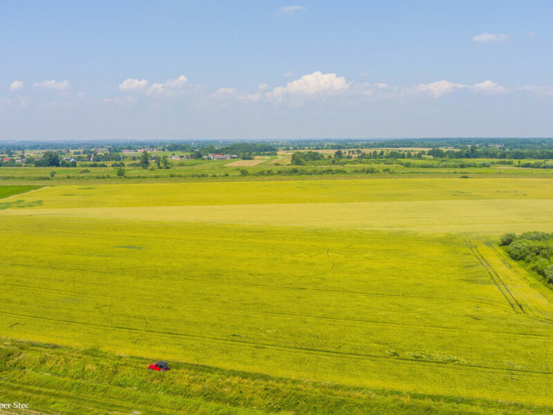 Działka rolna Szczurowa- Brzesko-Małopolska