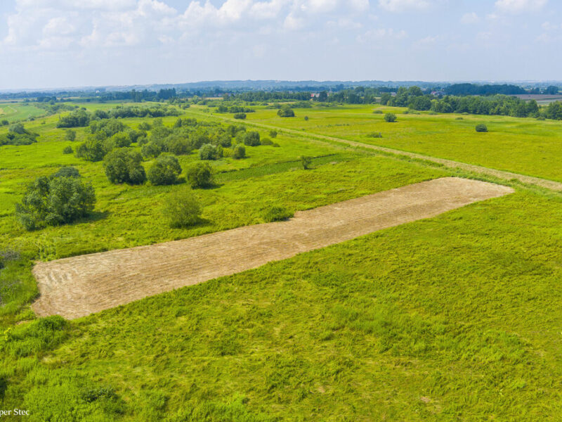 Działka rolna- Zaborów- Brzesko-Małopolska