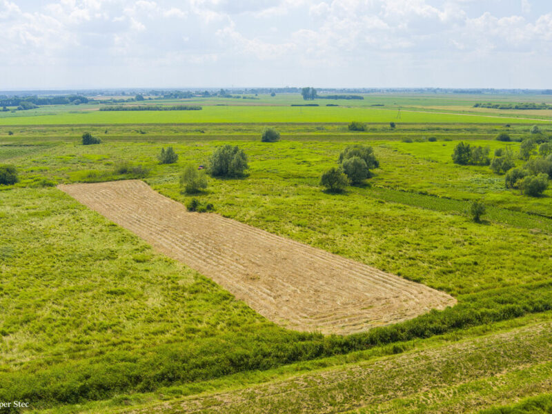 Działka rolna- Zaborów- Brzesko-Małopolska