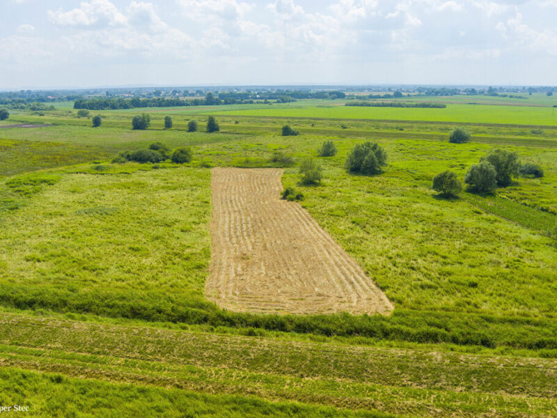 Działka rolna- Zaborów- Brzesko-Małopolska