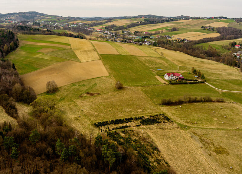 Działka Rolna Jastrzębia 1.18 ha