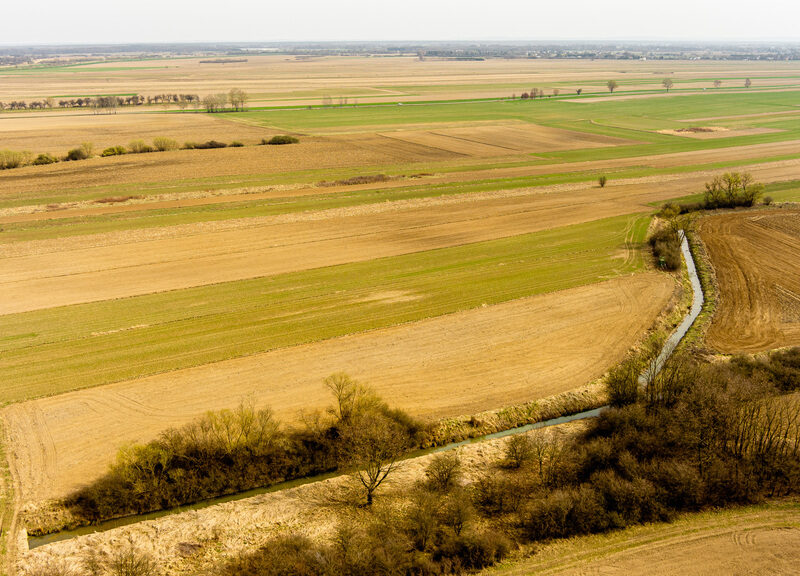 Działka rolna Rząchowa gm. Szczurowa!