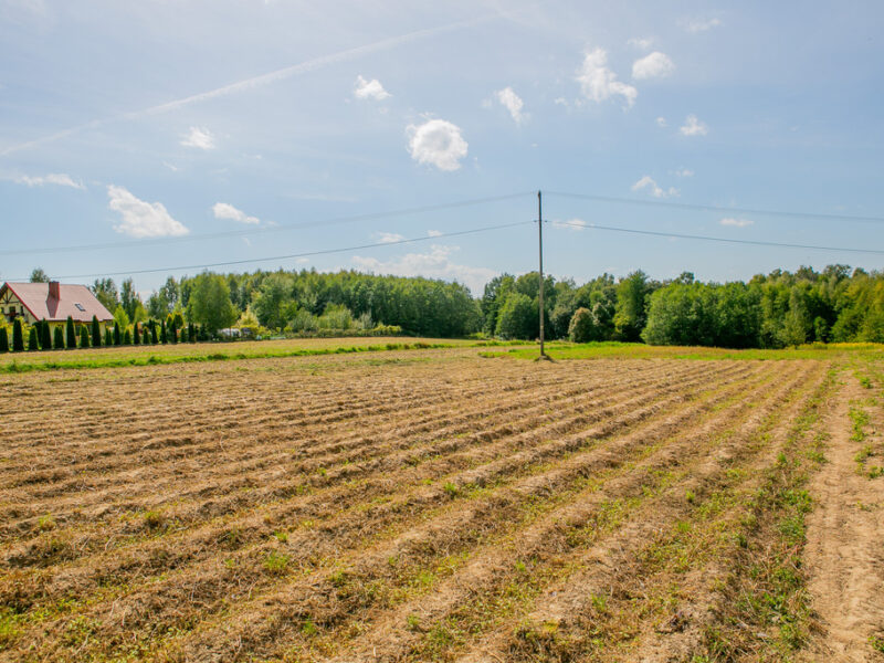 Działka zagrodowa Poręba Radlna-gm. Tarnów!