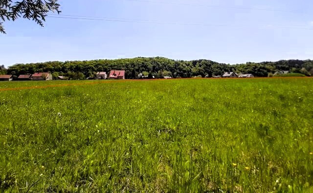 Działka budowlana-Zagórze-Rożnów-Małopolska
