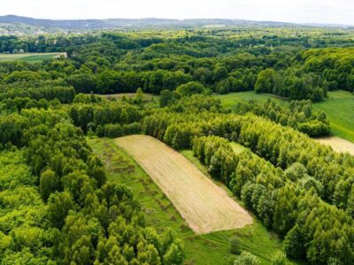 3 działki rolne na sprzedaż | Skrzyszów | 1,56 ha