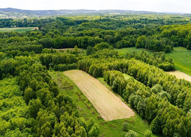 3 działki rolne na sprzedaż | Skrzyszów | 1,56 ha