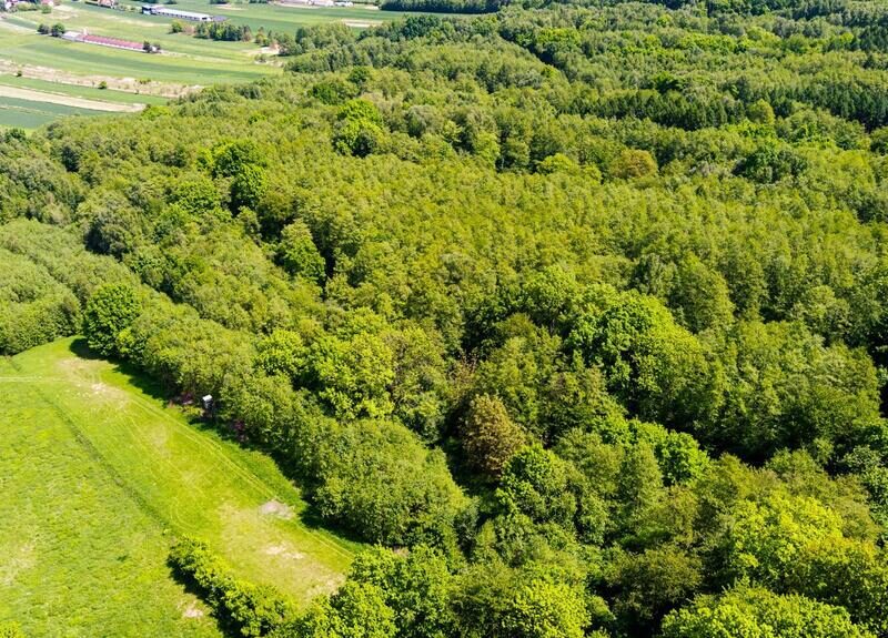 3 działki rolne na sprzedaż | Skrzyszów | 1,56 ha