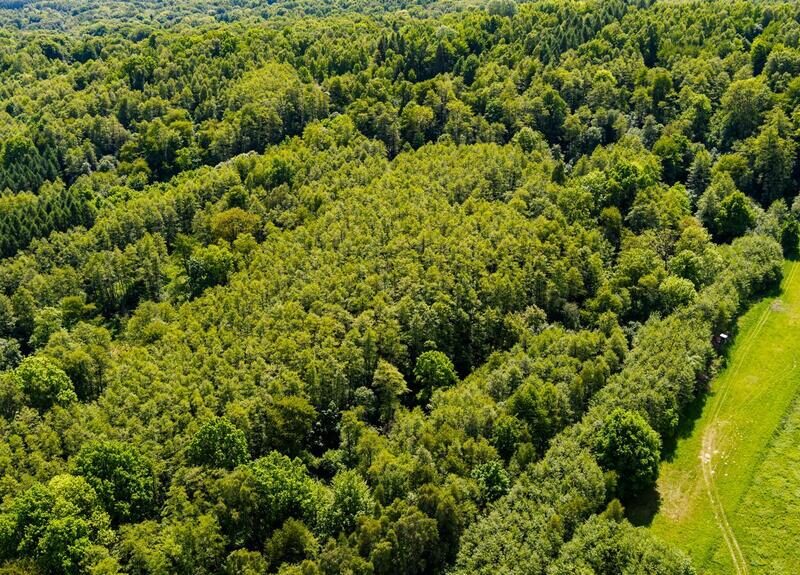 3 działki rolne na sprzedaż | Skrzyszów | 1,56 ha