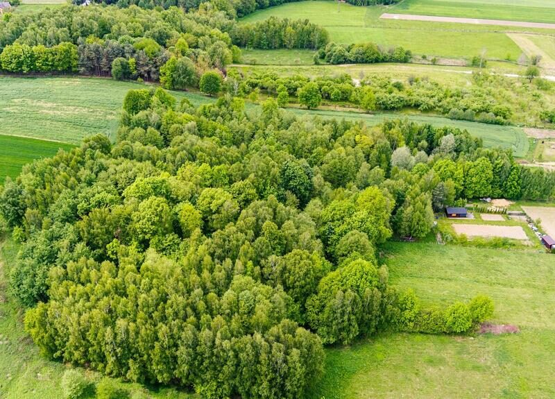 3 działki rolne na sprzedaż | Skrzyszów | 1,56 ha