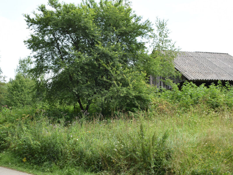 Działka 21a pod rekreację- Wesoła