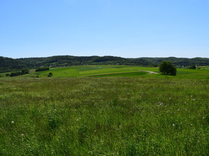 Działki rolne 86a i 112a- Brzeziny