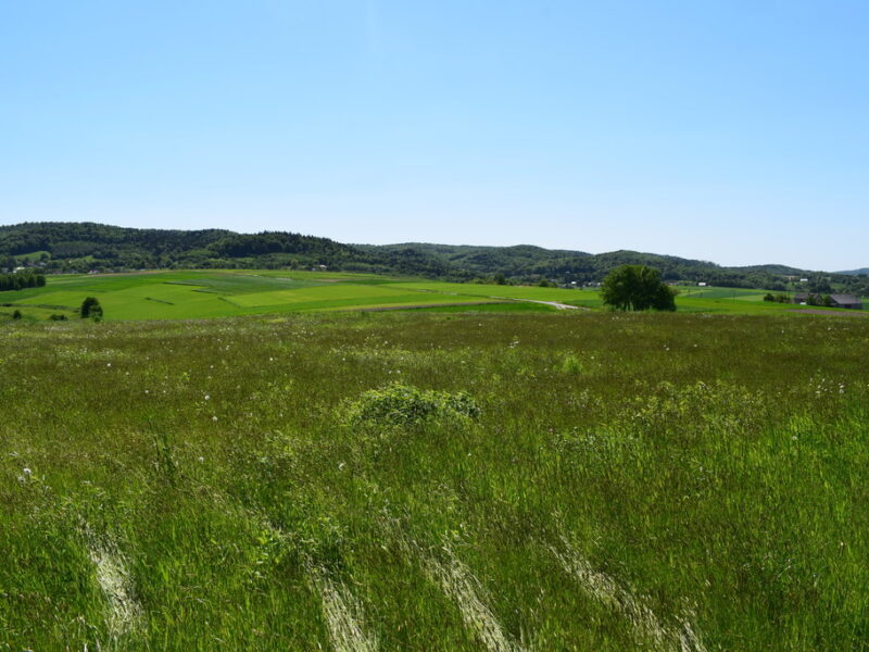 Działki rolne 86a i 112a- Brzeziny