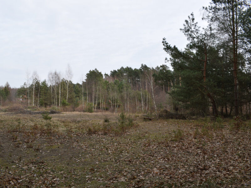 Działki pod budownictwo 13,87a - Wysoka Głogowska