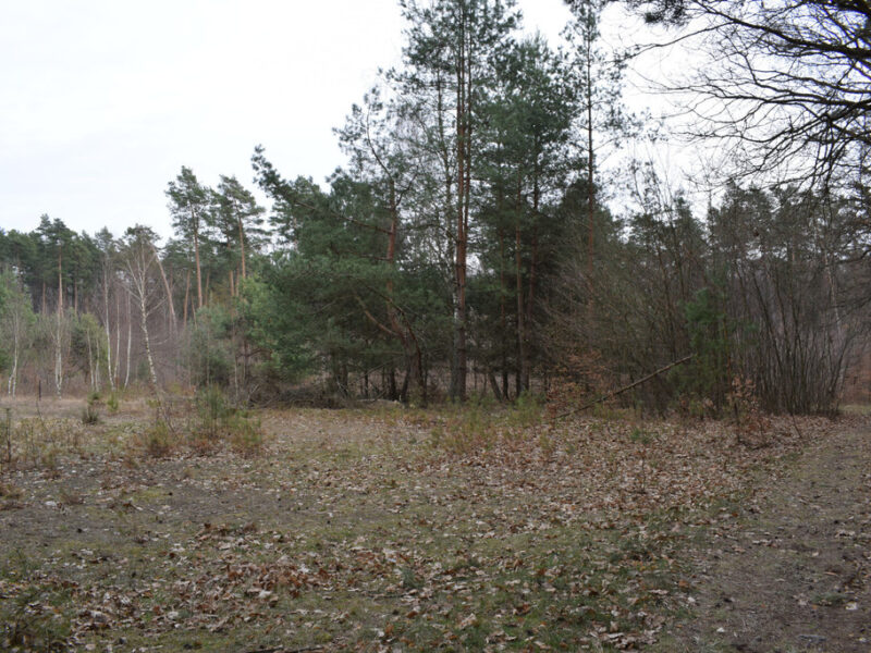 Działki pod budownictwo 13,87a - Wysoka Głogowska