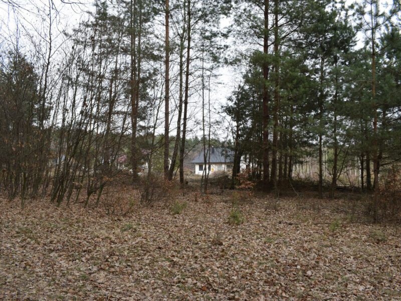 Działki pod budownictwo 13,87a - Wysoka Głogowska