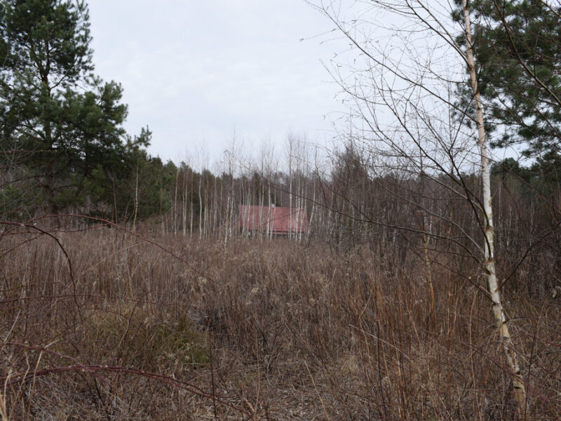 Działki pod budownictwo 13,87a - Wysoka Głogowska