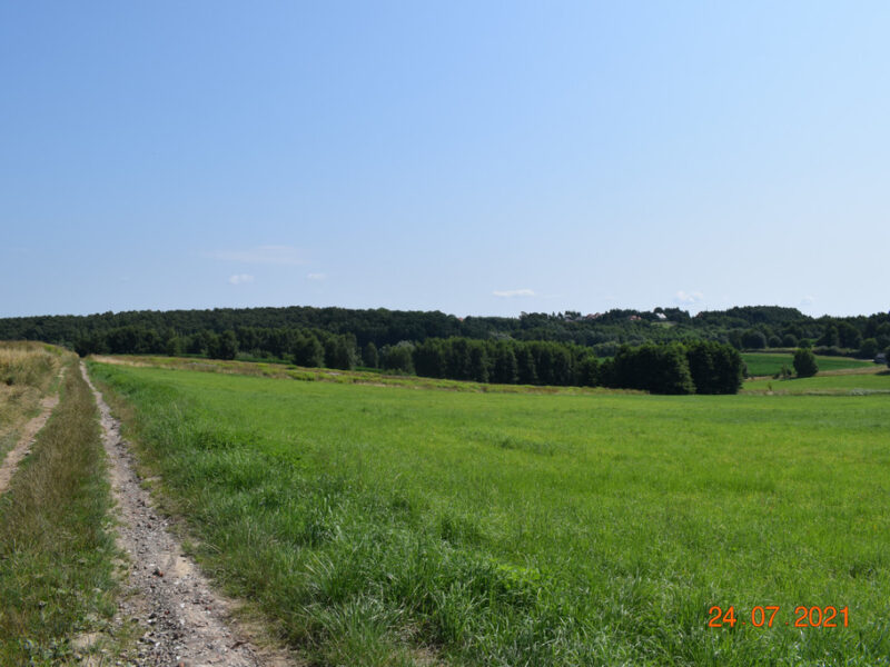 Działka rolno-budowlana 43a w Racławówce.