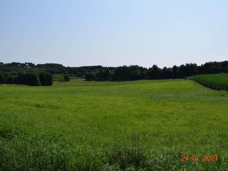 Działka rolno-budowlana 43a w Racławówce.