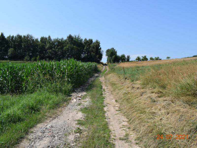 Działka rolno-budowlana 43a w Racławówce.