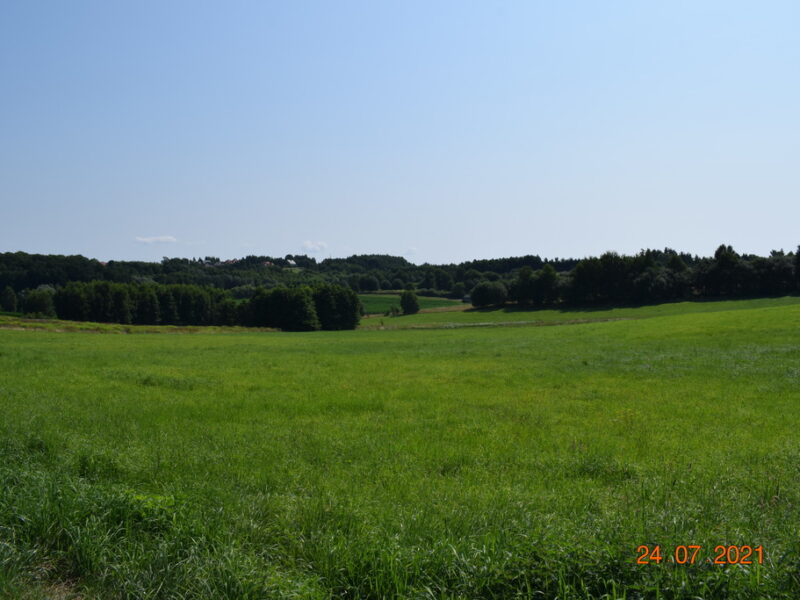 Działka rolno-budowlana 43a w Racławówce.