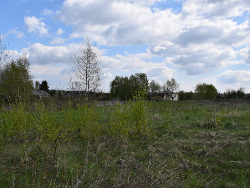 Działka rolna 20a - Chmielnik