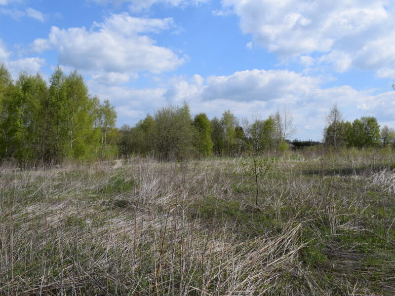 Działka rolna 20a - Chmielnik