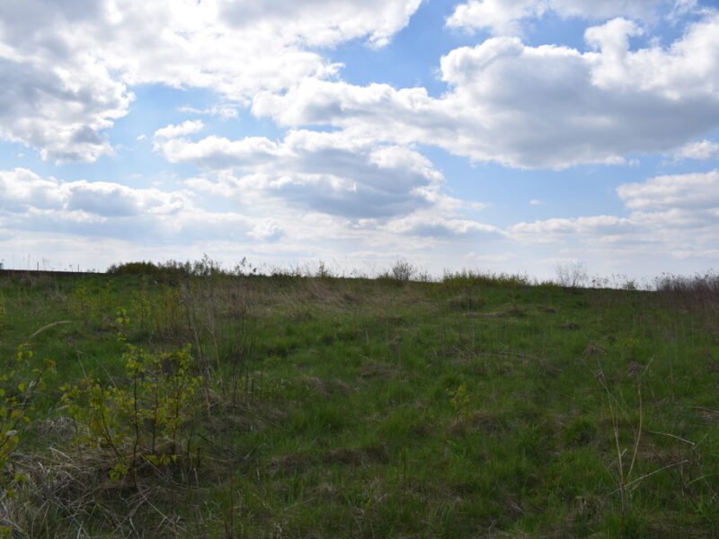 Działka rolno-budowlana 28a, Chmielnik