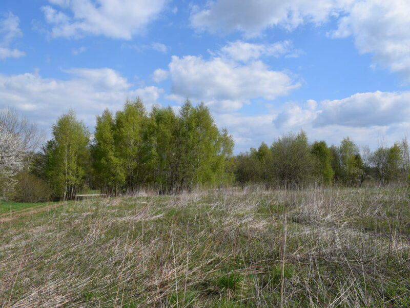 Działka rolno-budowlana 28a, Chmielnik
