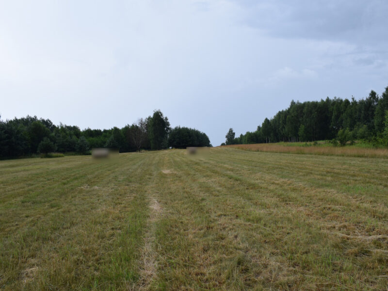 Działki budowlane 39a w Budach Głogowskich