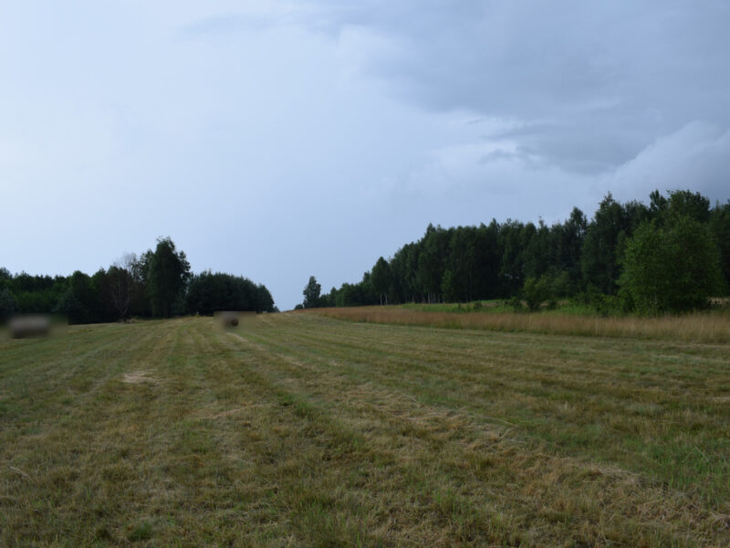 Działki budowlane 39a w Budach Głogowskich