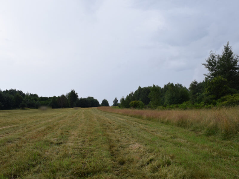 Działki budowlane 39a w Budach Głogowskich