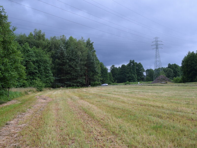 Działki budowlane 39a w Budach Głogowskich