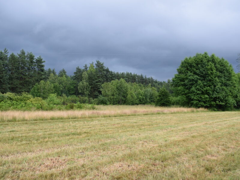 Działki budowlane 39a w Budach Głogowskich