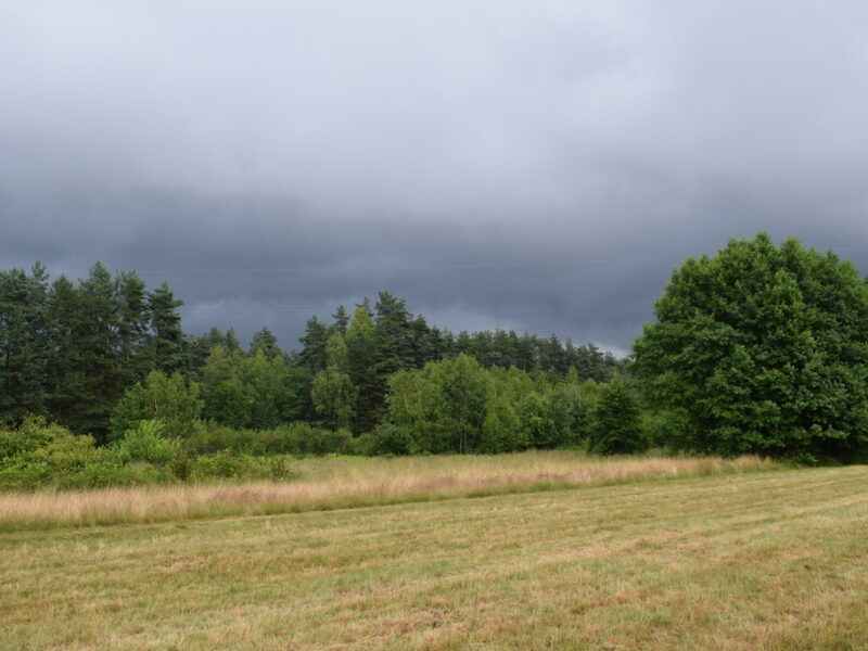 Działki budowlane 39a w Budach Głogowskich