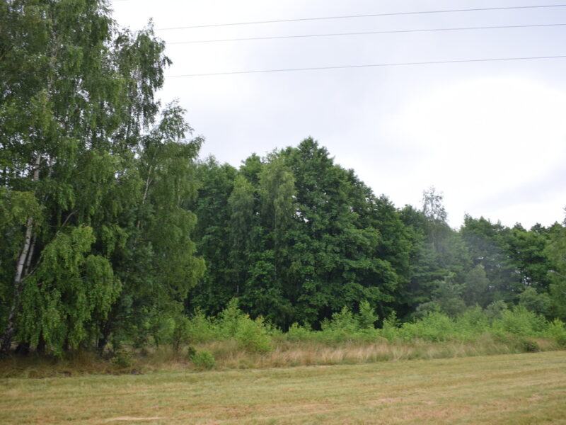 Działki budowlane 39a w Budach Głogowskich