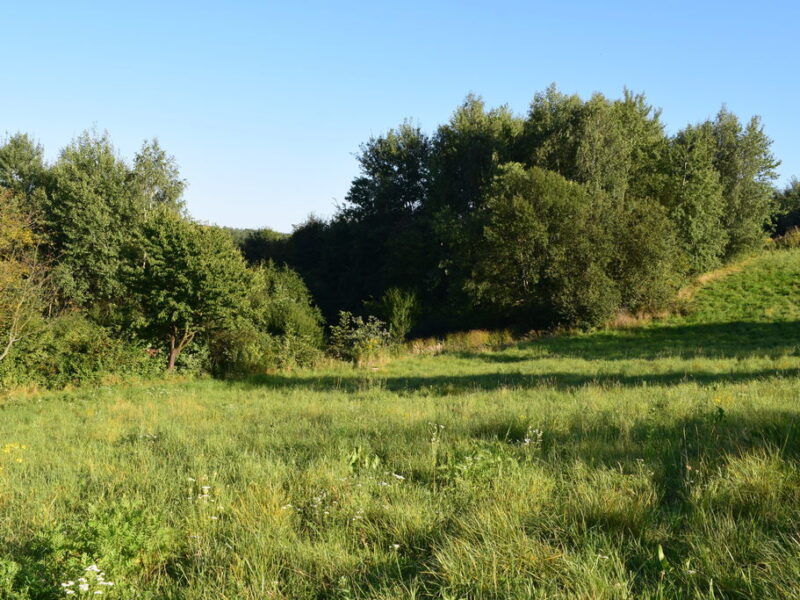 Działki budowlane od 10a do 47a w Tyczynie