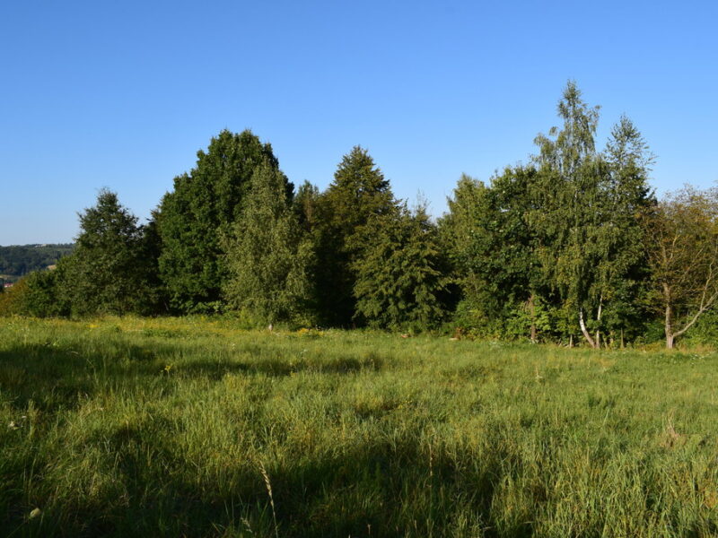 Działki budowlane od 10a do 47a w Tyczynie