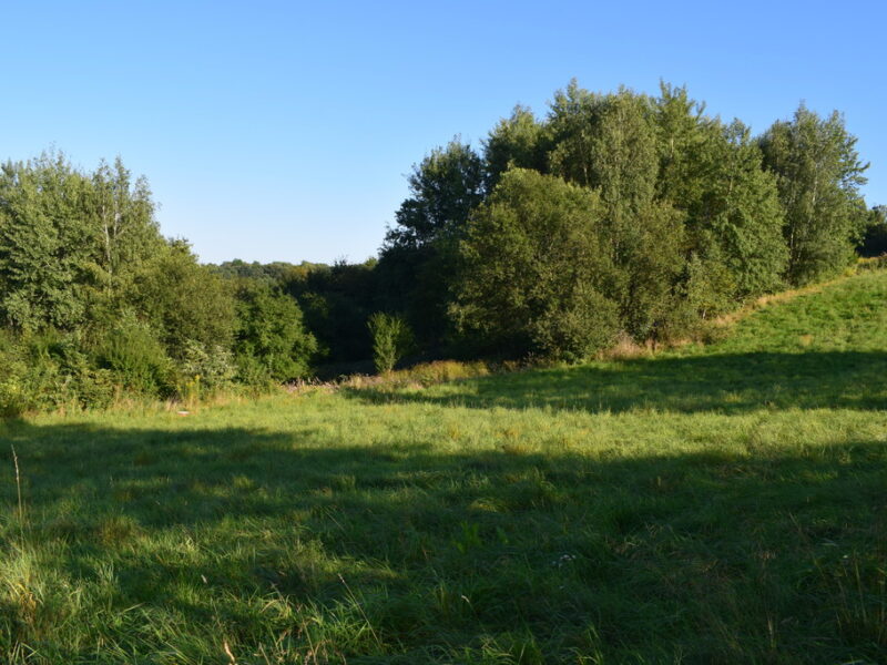 Działki budowlane od 10a do 47a w Tyczynie