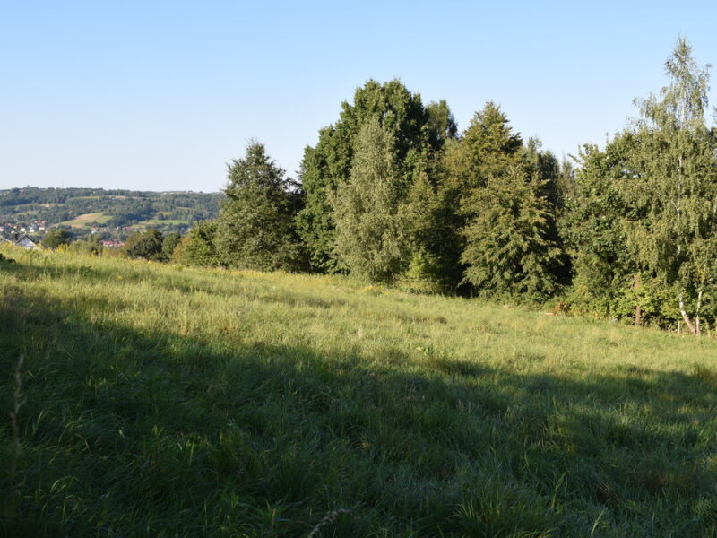 Działki budowlane od 10a do 47a w Tyczynie