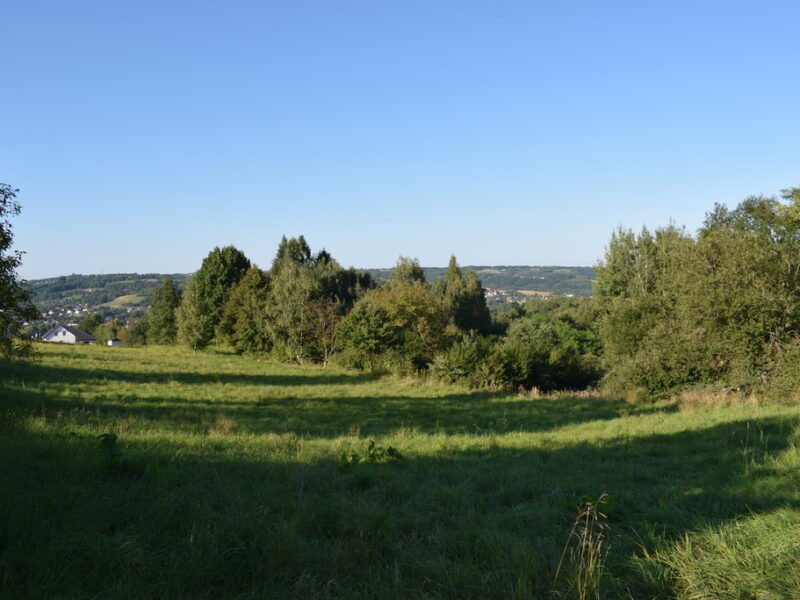 Działki budowlane od 10a do 47a w Tyczynie