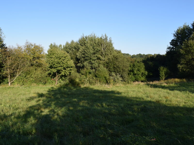 Działki budowlane od 10a do 47a w Tyczynie