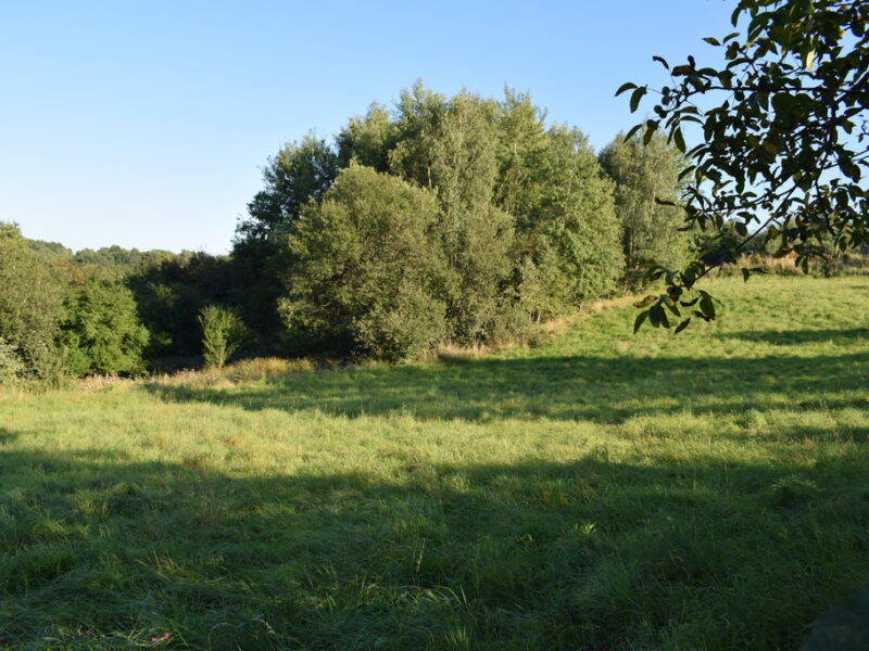Działki budowlane od 10a do 47a w Tyczynie