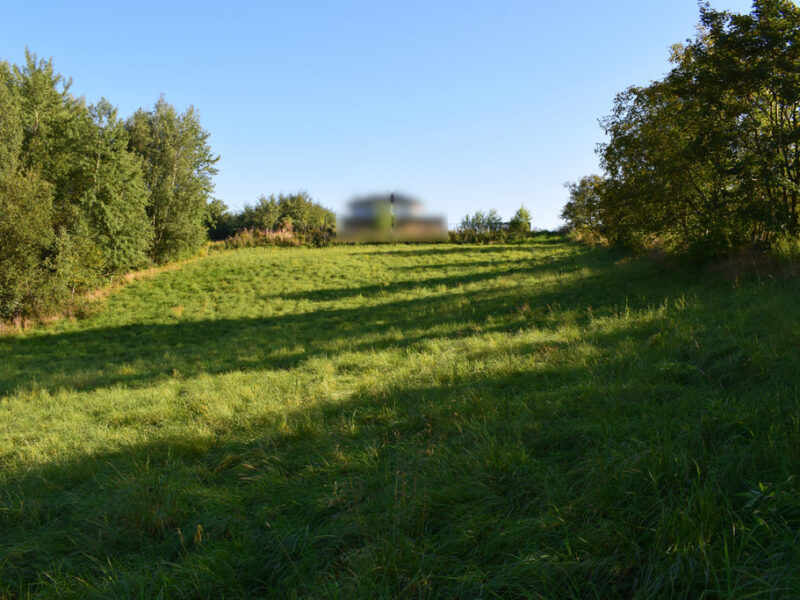 Działki budowlane od 10a do 47a w Tyczynie