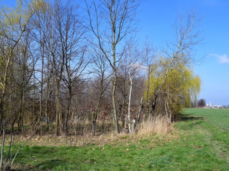 Działka rekreacyjna 12a Rzeszów-Słocina